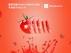 番茄花園 Ghost Win11 64位 專業免費版 V2022.07